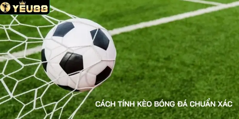 tổng quan về cách tính kèo bóng đá
