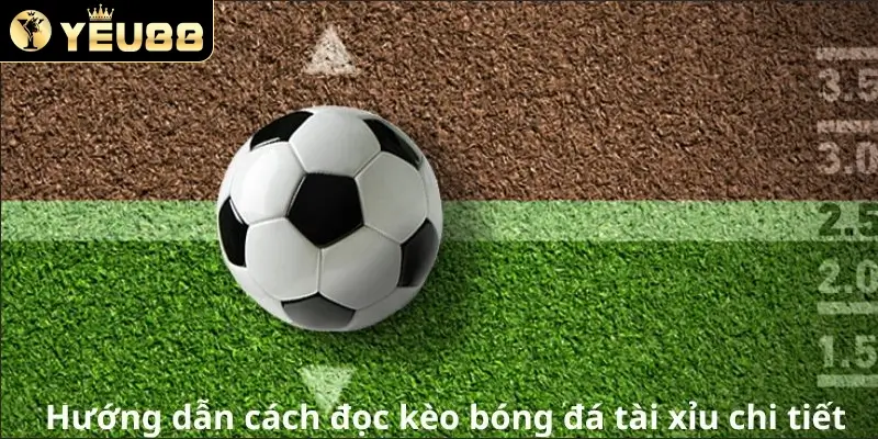 Hướng dẫn cách đọc kèo bóng đá tài xỉu chi tiết