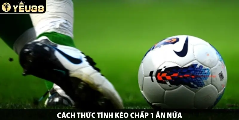 Cách thức tính kèo chấp 1 ăn nửa